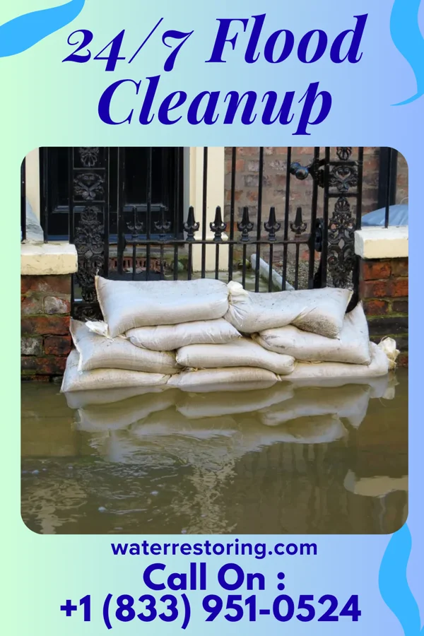 24/7 Flood Cleanup in Platea, PA