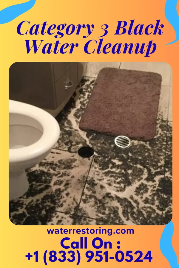 Category 3 Black Water Cleanup in Platea, PA