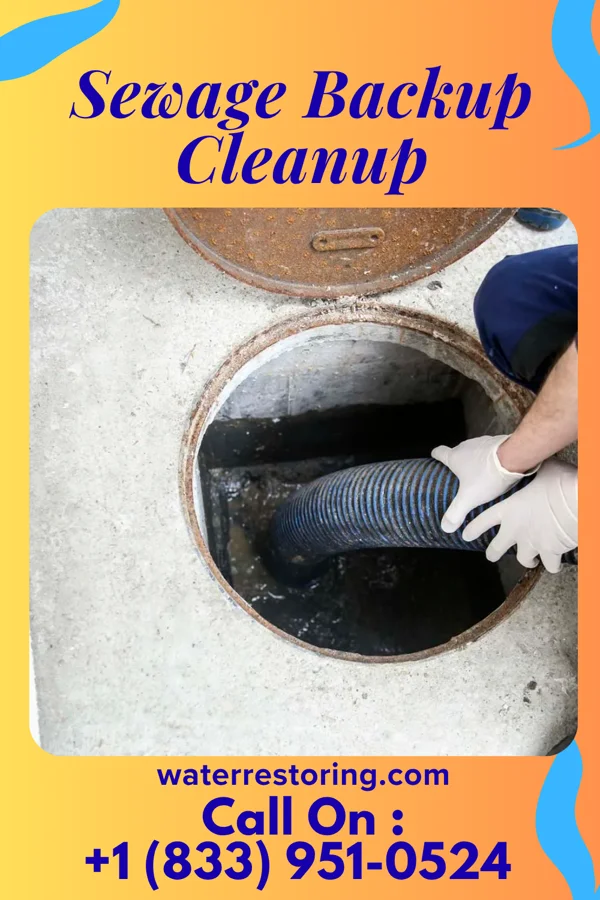 Sewage Backup Cleanup in Platea, PA