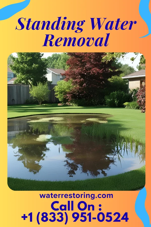 Standing Water Removal in Platea, PA